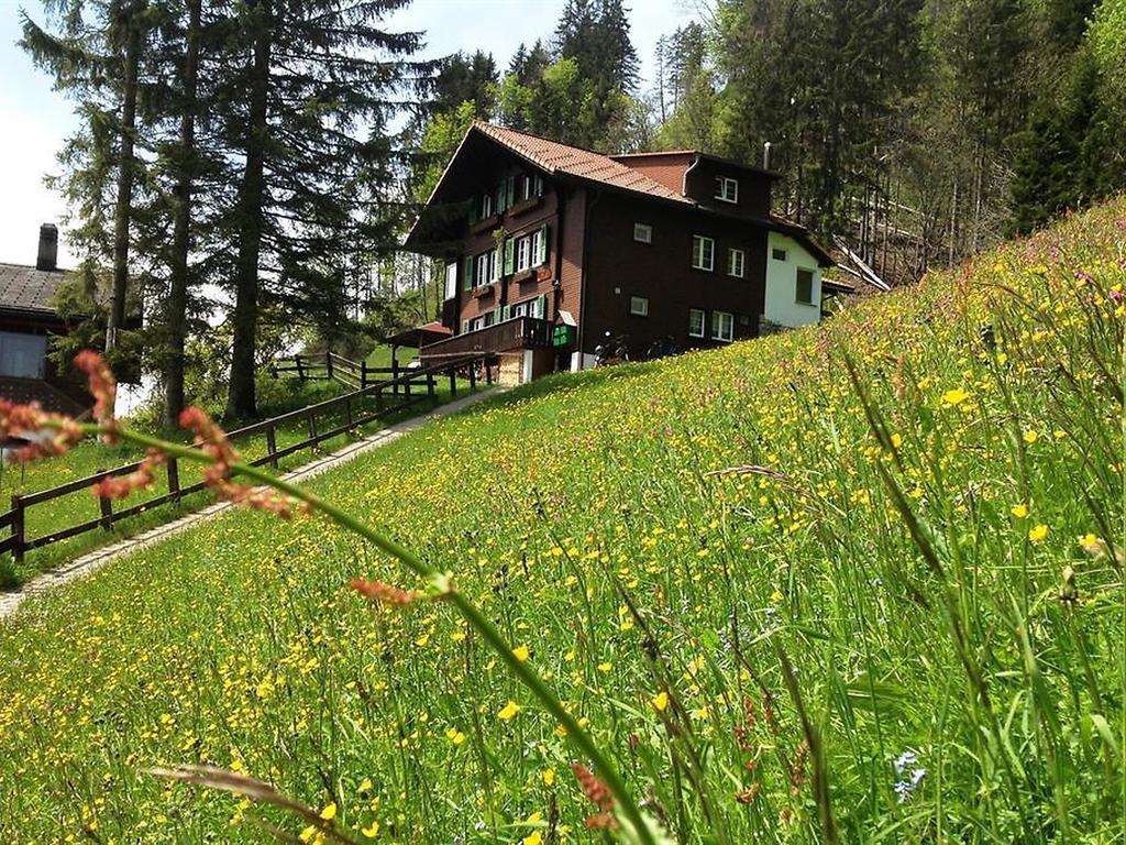 Hotel Hari Im Schlegeli アデルボーデン エクステリア 写真